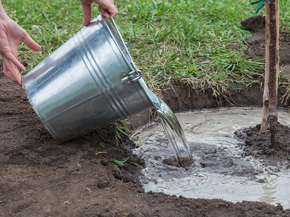 Por qué son tan importantes los riegos de implantación